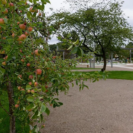 Artystyczna Przestrzen Przy Zabytkowym Dworcu Iława