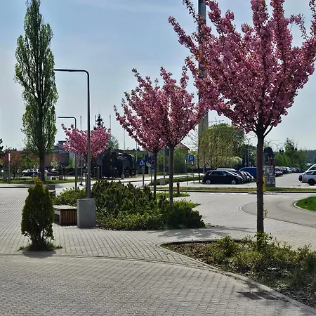 Artystyczna Przestrzen Przy Zabytkowym Dworcu Ilawa